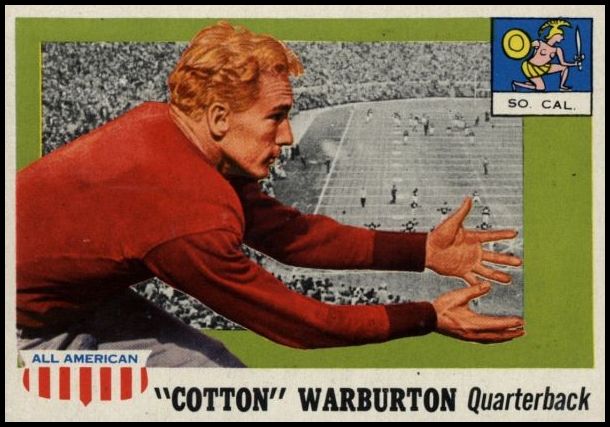 81 Cotton Warburton